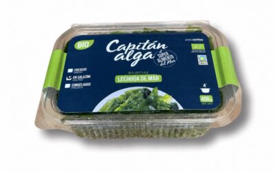 Laitue de Mer en Salaison – 400g